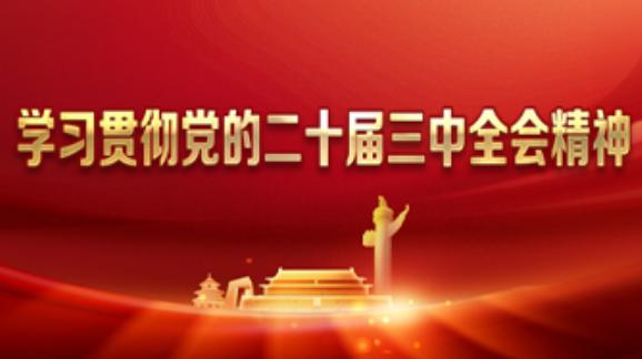 学习贯彻党的二十届三中全会精神